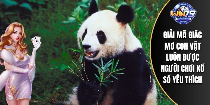 Giải mã giấc mơ con vật luôn được người chơi xổ số yêu thích