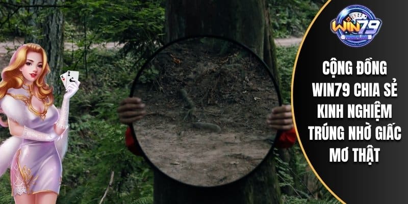 Cộng đồng WIN79 chia sẻ kinh nghiệm trúng nhờ giấc mơ thật